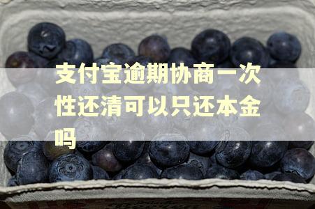 支付宝逾期协商一次性还清可以只还本金吗