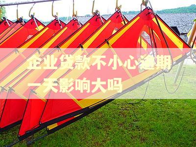 企业贷款不小心逾期一天影响大吗