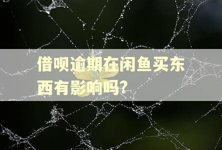 借呗逾期在闲鱼买东西有影响吗?