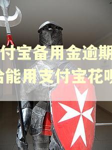 支付宝备用金逾期了,哈能用支付宝花呗吗