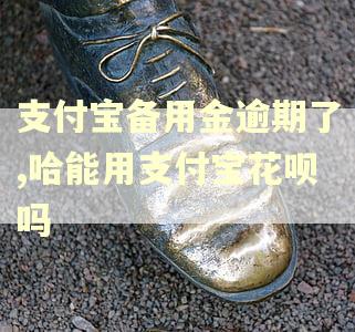 支付宝备用金逾期了,哈能用支付宝花呗吗