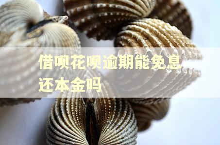 借呗花呗逾期能免息还本金吗 借呗花呗逾期能免息还本金吗