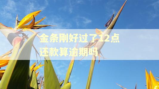 金条刚好过了12点还款算逾期吗 金条刚好过了12点还款算逾期吗