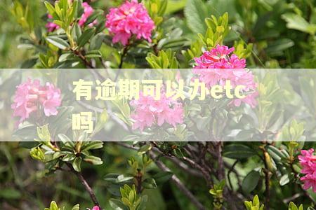 有逾期可以办etc吗