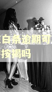京东白条逾期可以办买房按揭吗