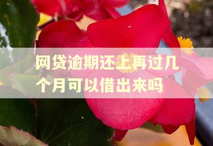 网贷逾期还上再过几个月可以借出来吗