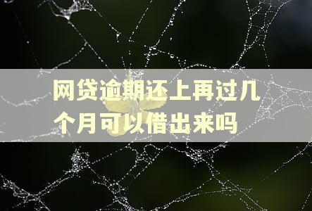 网贷逾期还上再过几个月可以借出来吗