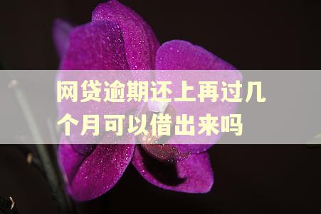 网贷逾期还上再过几个月可以借出来吗