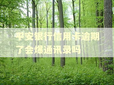 平安银行信用卡逾期了会爆通讯录吗