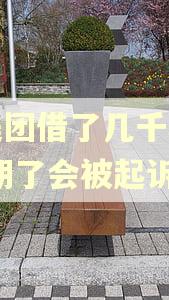 向美团借了几千块钱,逾期了会被起诉吗