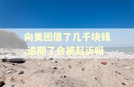 向美团借了几千块钱,逾期了会被起诉吗