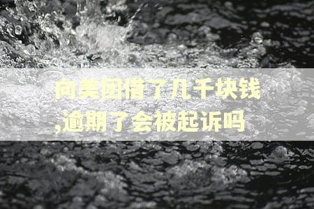 向美团借了几千块钱,逾期了会被起诉吗 向美团借了几千块钱,逾期了会被起诉吗