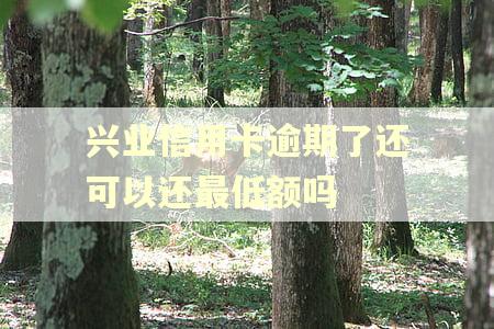 兴业信用卡逾期了还可以还最低额吗