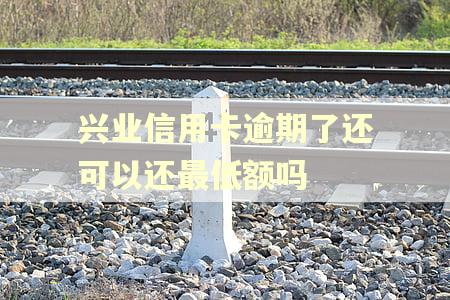 兴业信用卡逾期了还可以还最低额吗 兴业信用卡逾期了还可以还最低额吗