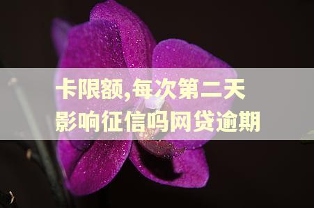卡限额,每次第二天影响征信吗网贷逾期