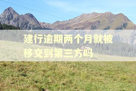 建行逾期两个月就被移交到第三方吗