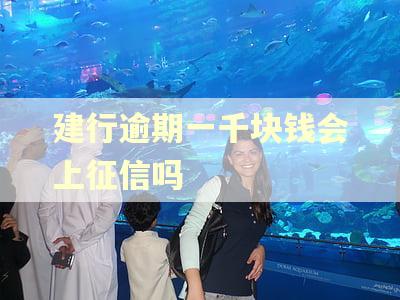 建行逾期一千块钱会上征信吗 建行逾期一千块钱会上征信吗