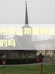 拍拍贷逾期要利息是真的吗