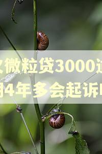 欠微粒贷3000逾期4年多会起诉吗