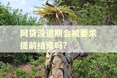 网贷没逾期会被要求提前结清吗?