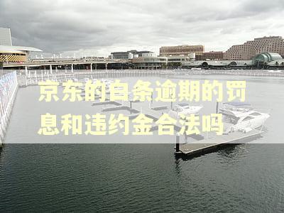 京东的白条逾期的罚息和违约金合法吗