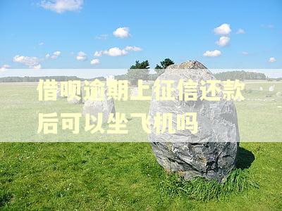 借呗逾期上征信还款后可以坐飞机吗