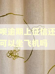借呗逾期上征信还款后可以坐飞机吗