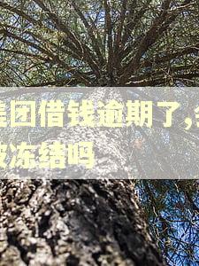 美团借钱逾期了,会被冻结吗