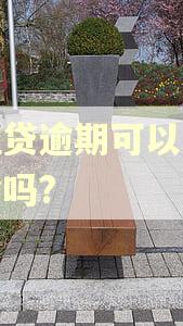微粒贷逾期可以只还本金吗?