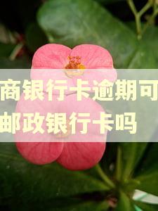 工商银行卡逾期可可办邮政银行卡吗