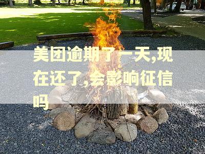 美团逾期了一天,现在还了,会影响征信吗