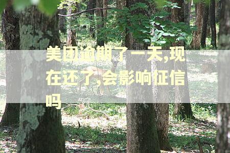 美团逾期了一天,现在还了,会影响征信吗