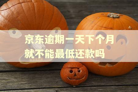 京东逾期一天下个月就不能最低还款吗 京东逾期一天下个月就不能最低还款吗