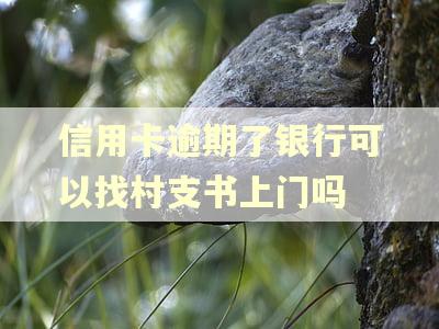 信用卡逾期了银行可以找村支书上门吗