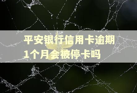 平安银行信用卡逾期1个月会被停卡吗