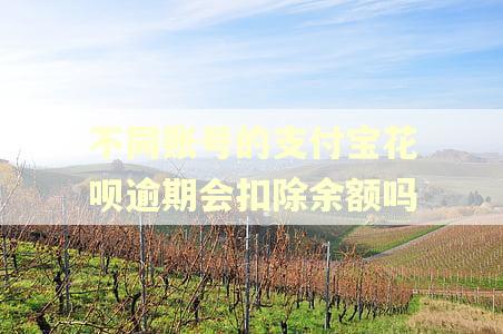不同账号的支付宝花呗逾期会扣除余额吗