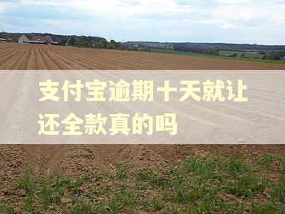 支付宝逾期十天就让还全款真的吗
