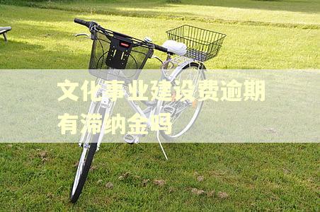 文化事业建设费逾期有滞纳金吗