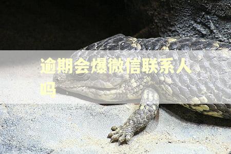 逾期会爆微信联系人吗