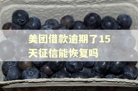 美团借款逾期了15天征信能恢复吗