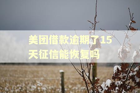 美团借款逾期了15天征信能恢复吗
