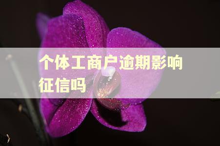 个体工商户逾期影响征信吗