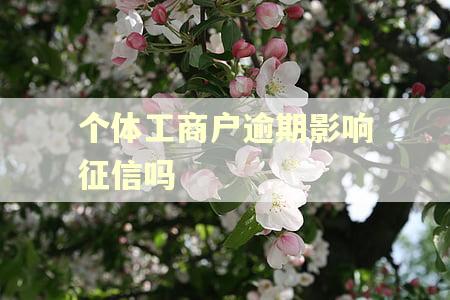 个体工商户逾期影响征信吗