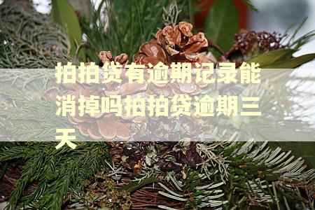 拍拍贷有逾期记录能消掉吗拍拍贷逾期三天