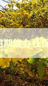有逾期能办社保吗？