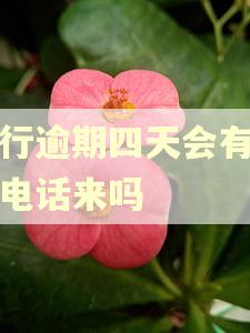 交行逾期四天会有人打电话来吗