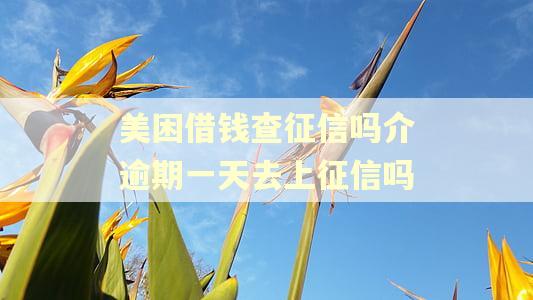 美困借钱查征信吗介逾期一天去上征信吗