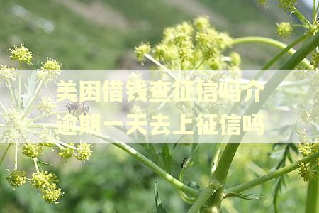 美困借钱查征信吗介逾期一天去上征信吗