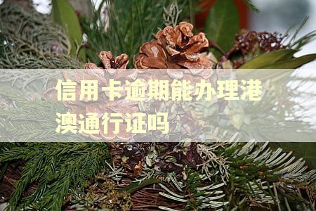 信用卡逾期能办理港澳通行证吗