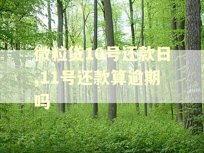 微粒贷10号还款日,11号还款算逾期吗